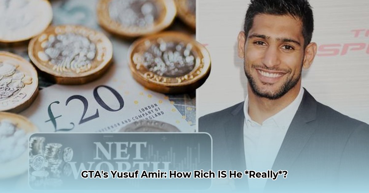 yusuf amir net worth